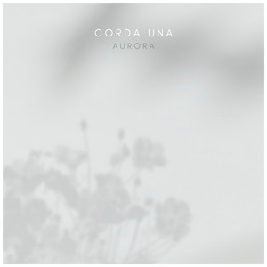 Yeonwoo新图9套最新消息今天
